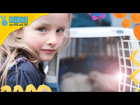 Malou versorgt die Tiere| ICH bin ICH | Mehr auf kikaninchen.de