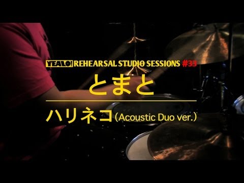 YEALO! REHEARSAL STUDIO SESSIONS - ハリネコ(Acoustic Duo ver.) [ とまと ]