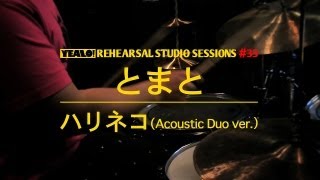 YEALO! REHEARSAL STUDIO SESSIONS - ハリネコ(Acoustic Duo ver.) [ とまと ]