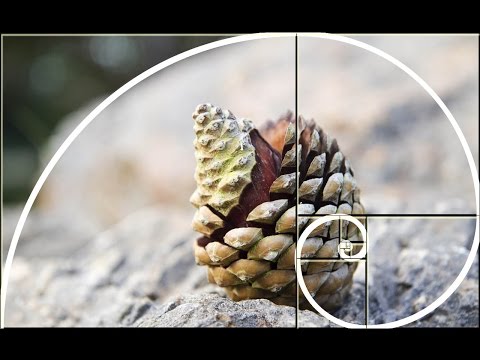 Goldener Schnitt – Das Prinzip in 5 Minuten / mit A. Beutel