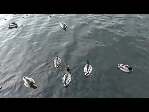 Morning walk at Beach. (2)