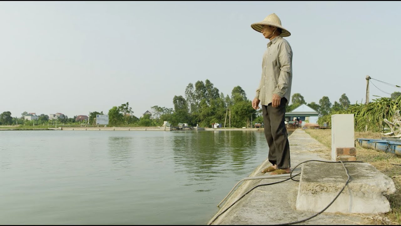 What is social responsibility in aquaculture?