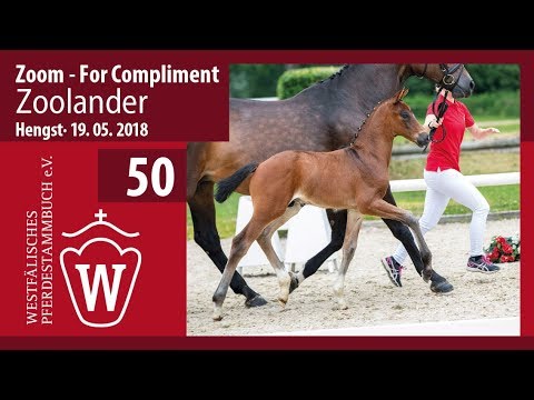 050 Zoolander HF v. Zoom - For Compliment