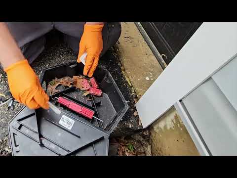 Inspect and Replenish the Rodent Bait Stations in Lanoka Harbor, NJ