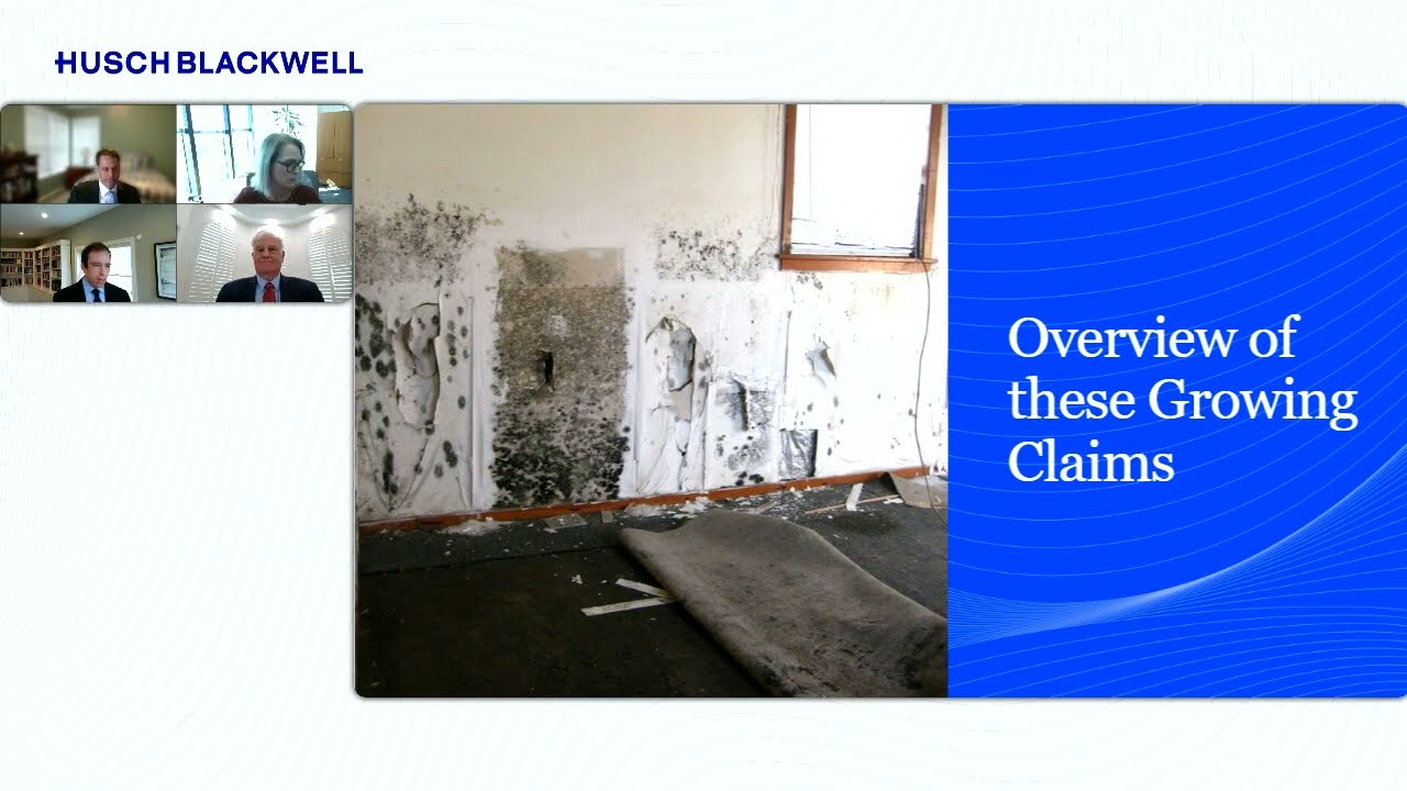 Overview of Contaminated Building Litigation