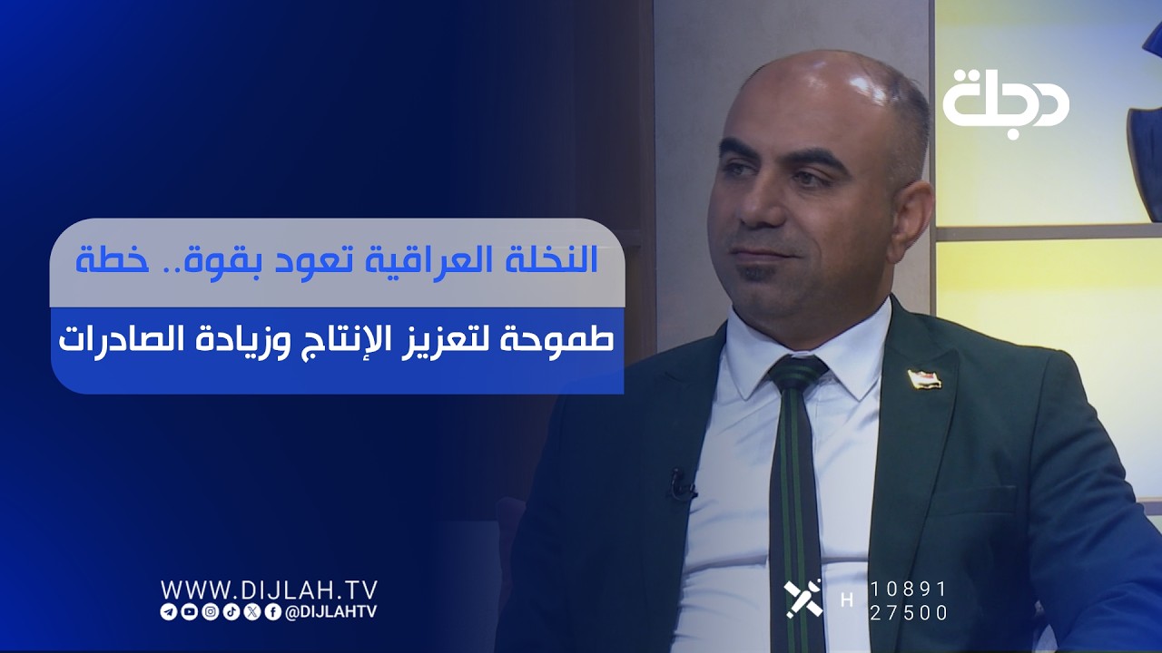 فيديو | النخلة العراقية تعود بقوة.. خطة طموحة لتعزيز الإنتاج وزيادة الصادرات