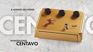 WARM AUDIO ( ウォームオーディオ ) Centavo 送料無料 | サウンドハウス