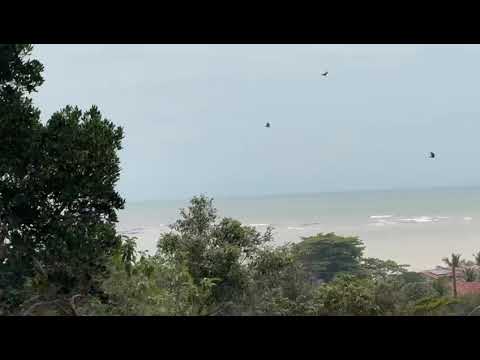 Vendo Lotes em Santa Cruz,Aracruz/ES, a 400m da praia.De 277m a 800m2 em área tipo condomínio.