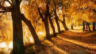 DON'T TAKE YOUR LOVE (Orienta-Rhythm Original Club Mix )