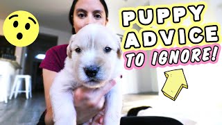 POPULAR PUPPY ADVICE TO AVOID!!! 😮 Don