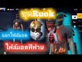 ฟีฟาย ruok
