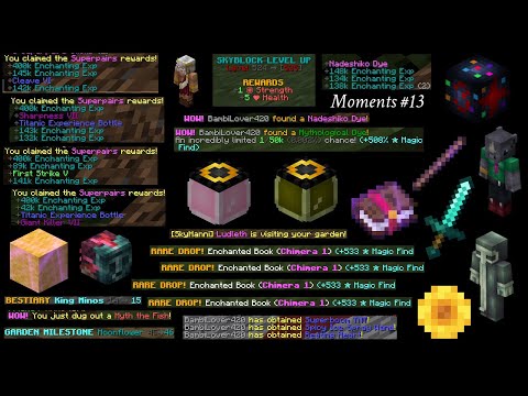 We are so back (Hypixel Skyblock Moments #13)