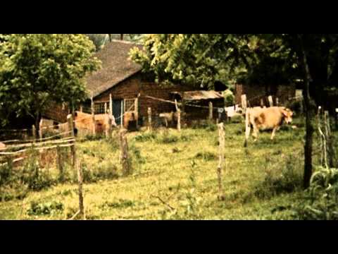 Humble Abode - Michael Cassidy