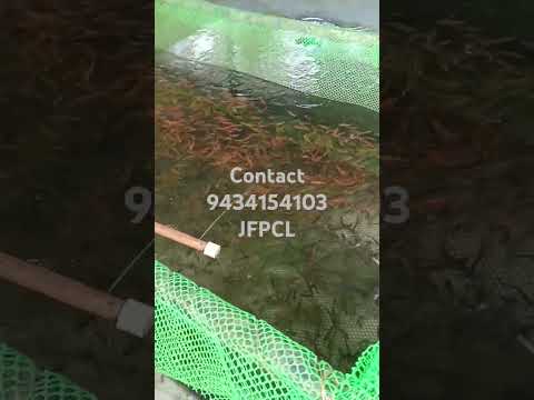 Jalpesh farmers producer company limited