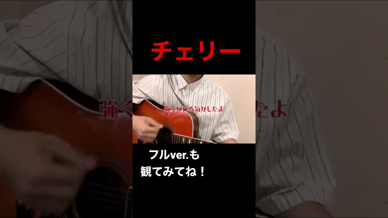 【チェリー】愛してるの響きだけで。#チェリー #スピッツ #初恋 #失恋 #cover #アコースティック #弾き語り #歌うま #春 #歌
