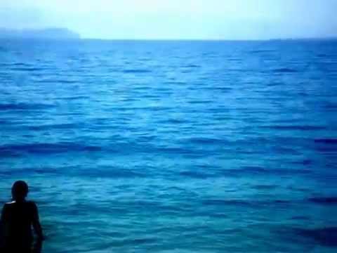 Shark attack in crowded beach in Greece!