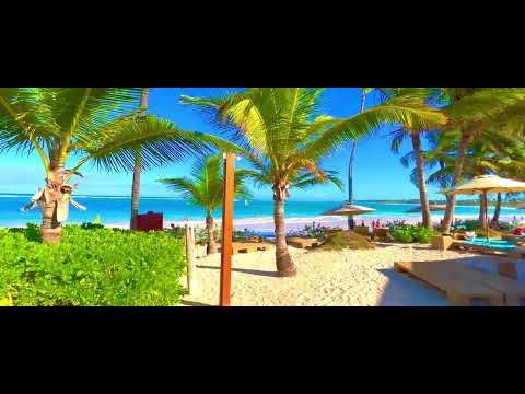 Videos del Vik Cayena Beach 5★ en Punta Cana, República DominicanaVerPrecios13CerrarConsulta por Whatsapp 🇦🇷BookingTripadvisorExpediaTripSkyscannerDespegarKayakHotelesDestiniaTrivagoTurismocityLastminuteTui