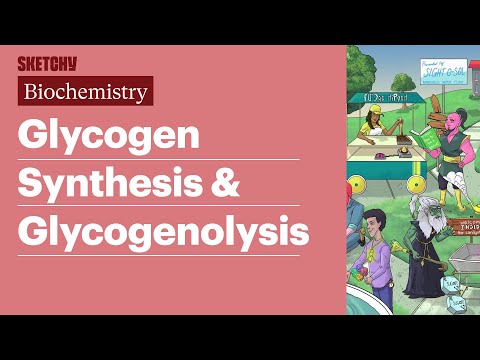 Glycogen Synthesis & Glycogenolysis (Biochemistry) | USMLE Step 1 | Sketchy Medical