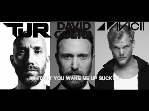 TJR vs D.Guetta & Avicii - Whitout You, Wake Me Up & Suckaz (Bootlag)