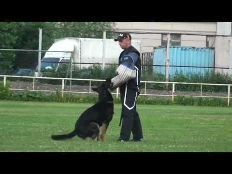 Irina Pugachova&Fredy vom Prielberg, IPO1, C