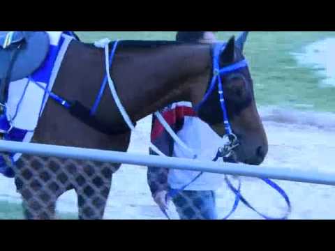 Emirates Stakes Day preview - Caspar Fownes