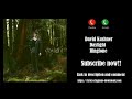 ℍ𝕆𝕋 David Kushner Daylight Ringtone ℍ𝕆𝕋