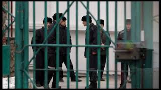 Нажмите для просмотра : ГАИ. О моральном праве.