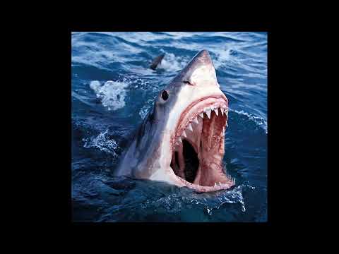 Conway The Machine & The Alchemist Feat. ScHoolboy Q "Shoot Sideways"