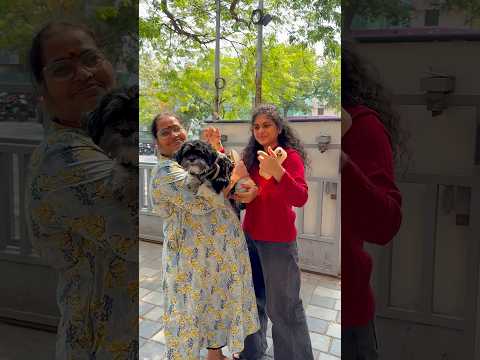 Remo kum Chitti kum grooming 🐾#swv #tamil #comedy #ishqyouall #youtube #shortvideo #pets