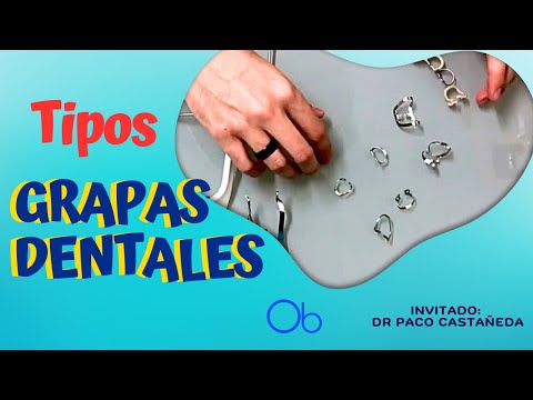 Tipos de Grapas Dentales 🦷