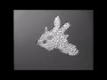 Amoeba And Paramecium
