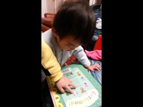 2014.03.03--璐璐认动物