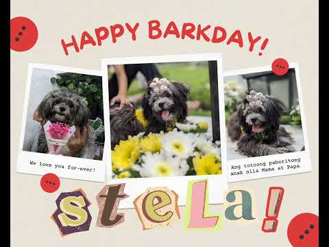 stela barkday 5.6.24