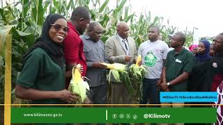 Naibu Waziri wa Kilimo Apongeza ZAGCO & East West Seed kwa Mbegu Mpya Sugar King F1 (Sweet Corn)