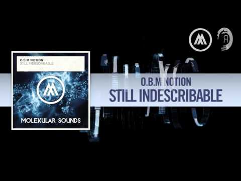 O.B.M Notion - Still Indescribable (Molekular Sounds)