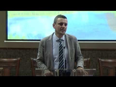 Stefan Albu - Busco a alguien que me diga que no soy culpable...