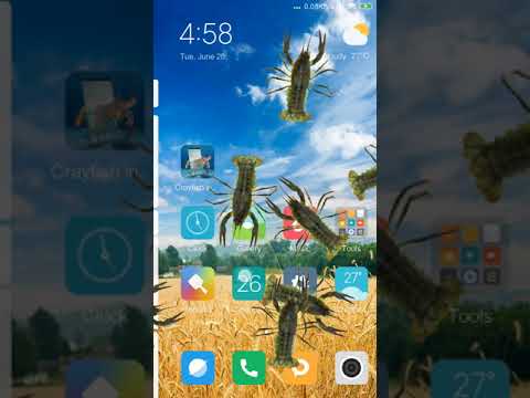 Crayfish in phone prank Video