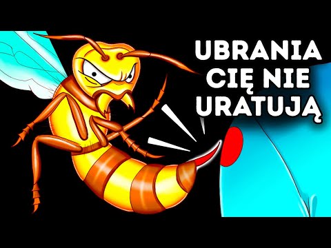 Co by się stało, gdyby użądlił cię szerszeń azjatycki?