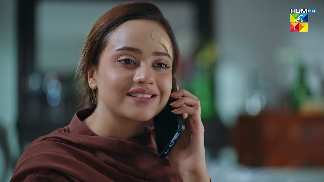 Presentation Menay Nahi Shahveer Na Banai Hai... #meribahuain - HUM TV