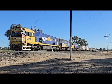 6PM6 PN up "Linfox Express" (NRs 105 66 120), Perth to Melbourne, 1305, 21/7/25, Dimboola West VIC
