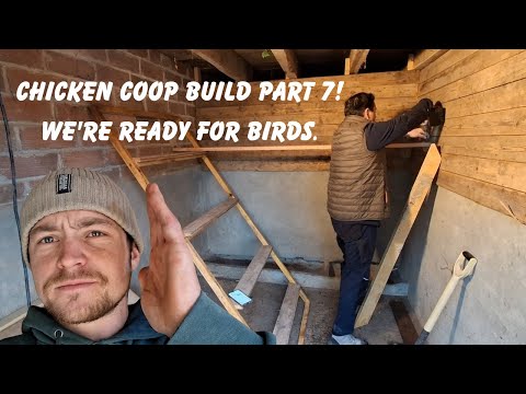 Part 7! Our Chicken Coop Build is Complete. Time For Hens!
