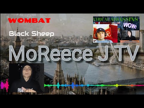 Wombat - Black Sheep REACTION
