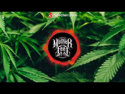 MOTHERFEET - Peace In Today ft. Parco Studento
