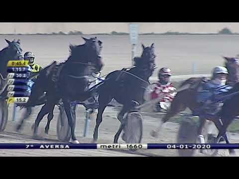 Aversa trotto 4 Gennaio 2020 - 7° Corsa