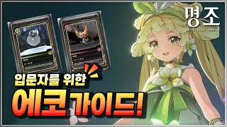 【명조】 입문자를 위한 에코 기본 가이드!