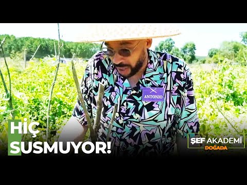 Antonio'nun Arzu'ya İsyanı! - Şef Akademi Doğada 5. Bölüm