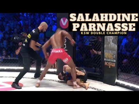 Salahdine Parnasse - Highlights