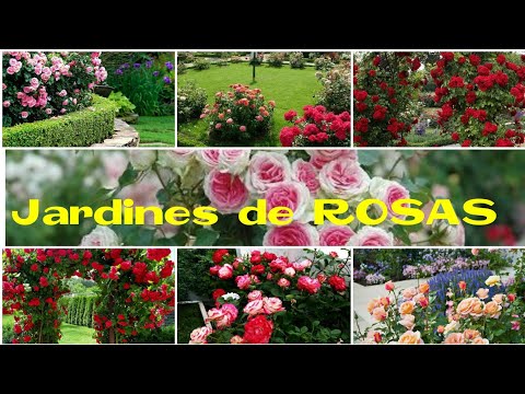 , title : 'Jardines de ROSAS más hermosos del mundo 🌹🌎🌍'