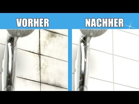 Schimmel entfernen mit Hausmitteln - ganz natürlich und ohne Chemie