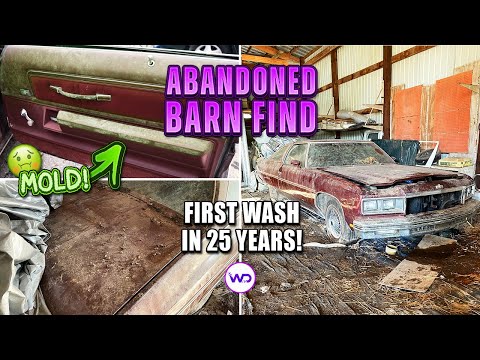 Thumbnail for ABANDONED BARN FIND First Wash In 25 Years Chevy Caprice! Satisfying Car Detailing Restoration by SEAT, video, WiLL, Jeep, Car, Vehicle, vide